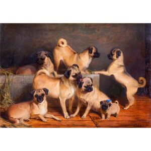 『A Family of Pugs』 <br>チャールズ・バートン・バーバー