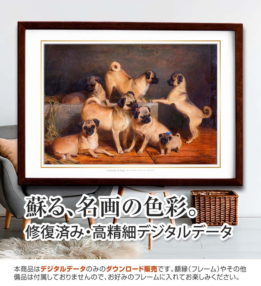 『A Family of Pugs』 <br>チャールズ・バートン・バーバー