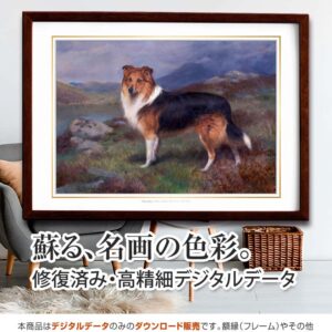 『Darnley』 <br>チャールズ・バートン・バーバー