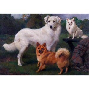 『Snowball, Marco, Janey』 <br>チャールズ・バートン・バーバー