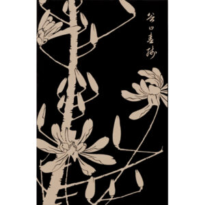 『幣辛夷』玄圃瑤華 <br>伊藤若冲