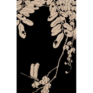 『藤』玄圃瑤華 <br>伊藤若冲