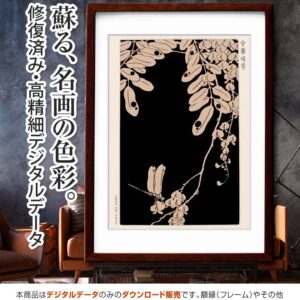 『藤』玄圃瑤華 <br>伊藤若冲