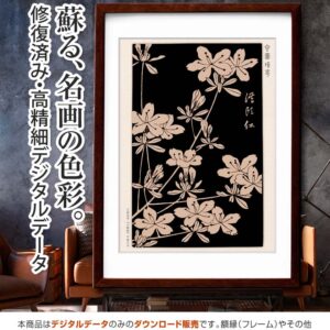 『山躑躅』玄圃瑤華 <br>伊藤若冲