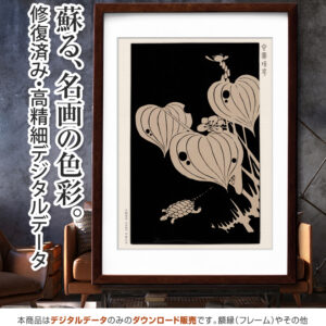 『水葵』玄圃瑤華 <br>伊藤若冲