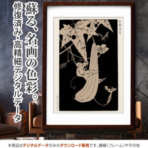 『糸瓜』玄圃瑤華 <br>伊藤若冲