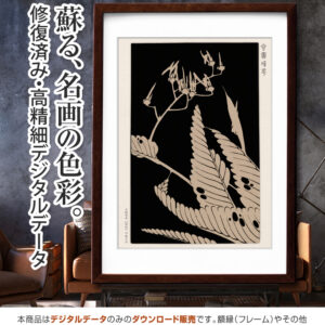 『檀特』玄圃瑤華 <br>伊藤若冲